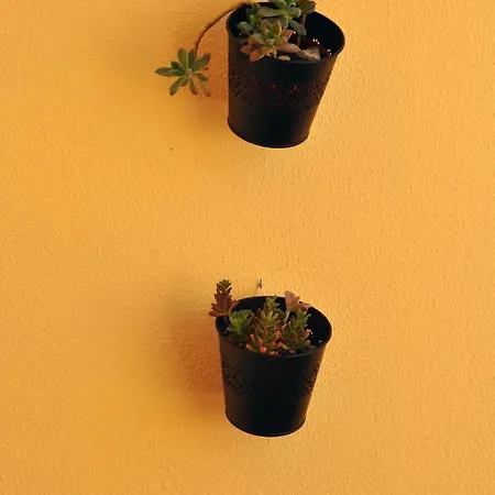 Few Steps To The Apartment