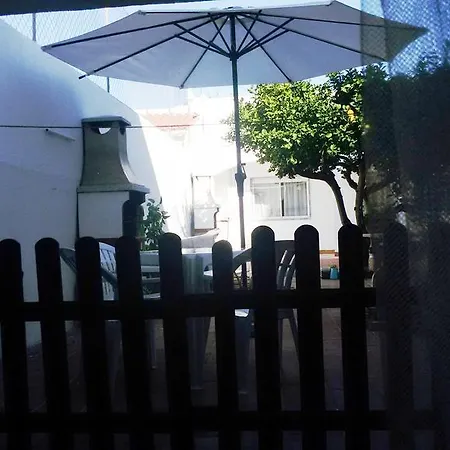 Poupa D'alvor *